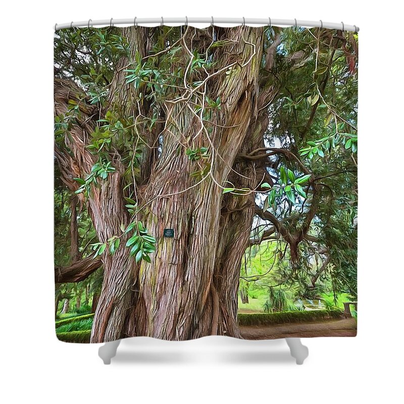 Metrosideros Excelsa Shower Curtain featuring the photograph New Zealand Christmas Tree by Eva Lechner