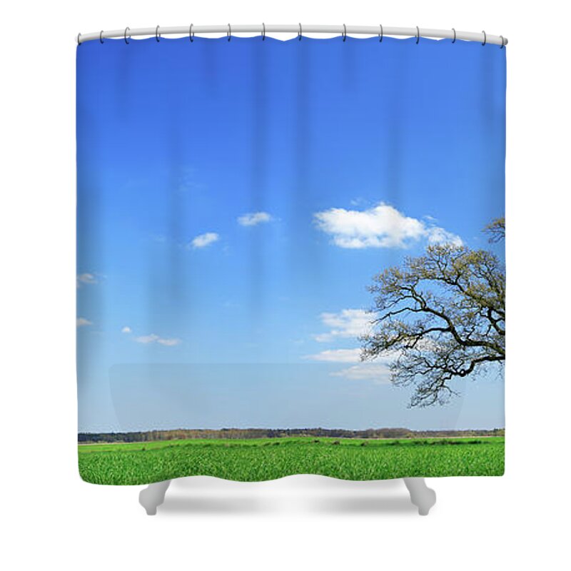 Scenics Shower Curtain featuring the photograph Nicely Shaped Oak Tree by Avtg