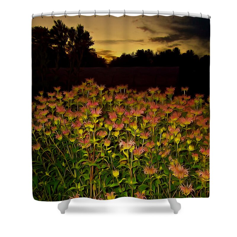 Flowers Shower Curtain featuring the photograph Night Garden Series by Elizabeth Tillar