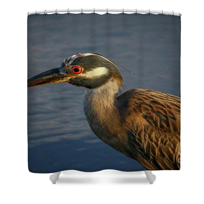 Heron Shower Curtain featuring the photograph Night Heron Portrait by Tom Claud