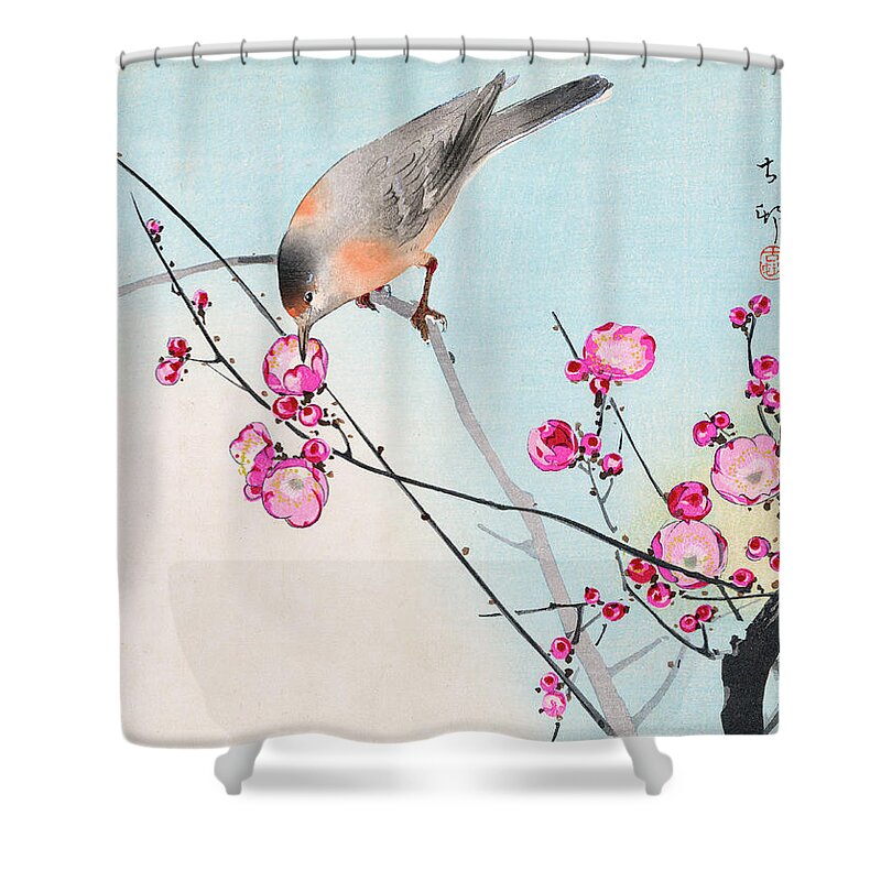 Koson Shower Curtain featuring the painting Nightingale by Koson