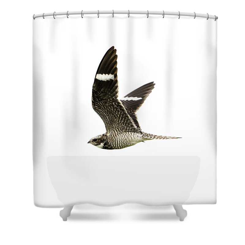 Bird Shower Curtain featuring the photograph Nightjar by Jeff Phillippi