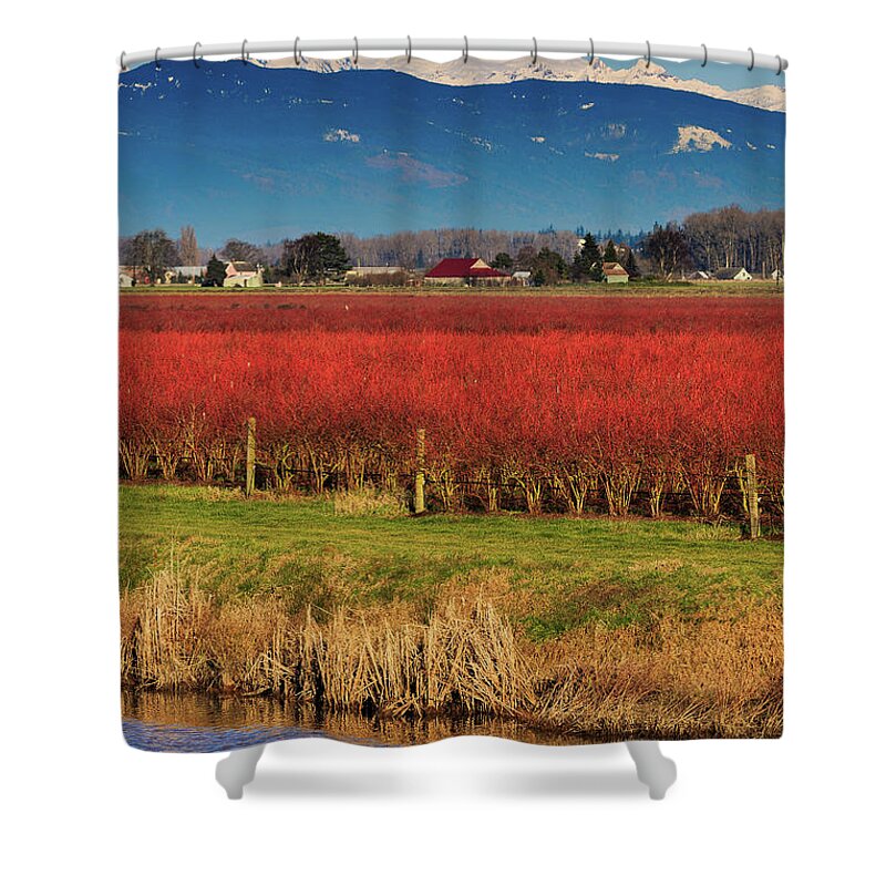 Landscape Shower Curtain featuring the photograph Nine Layer Dip by Briand Sanderson