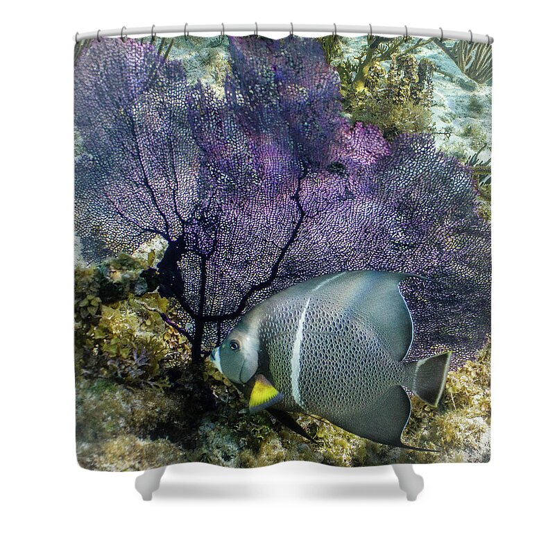 Ocean Shower Curtain featuring the photograph No Gray Skies Here by Lynne Browne