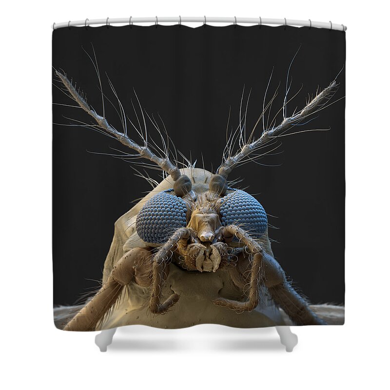 Animal Shower Curtain featuring the photograph Nonbiting Midge, Chironomidae Sp., Sem by Meckes/ottawa