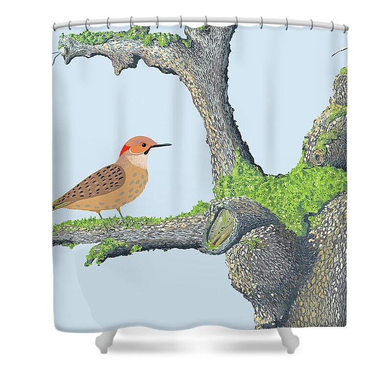  Shower Curtain featuring the digital art Northern flicker by Gary Giacomelli