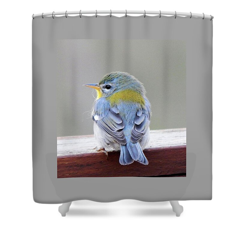 Birds Shower Curtain featuring the photograph Northern Parula II by Karen Stansberry