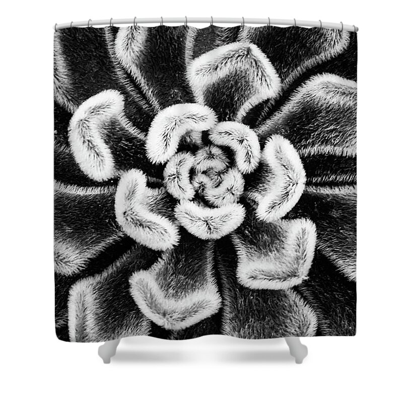Black And White Shower Curtain featuring the photograph Not green by Terri Hart-Ellis