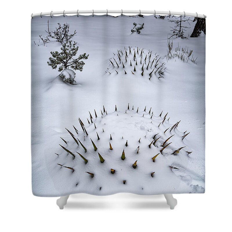 Arizona Shower Curtain featuring the photograph Not Something you See Everyday by Will Wagner