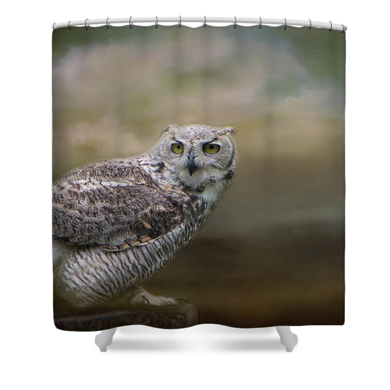 Owl Shower Curtain featuring the photograph Owl Eyes by Marilyn Wilson