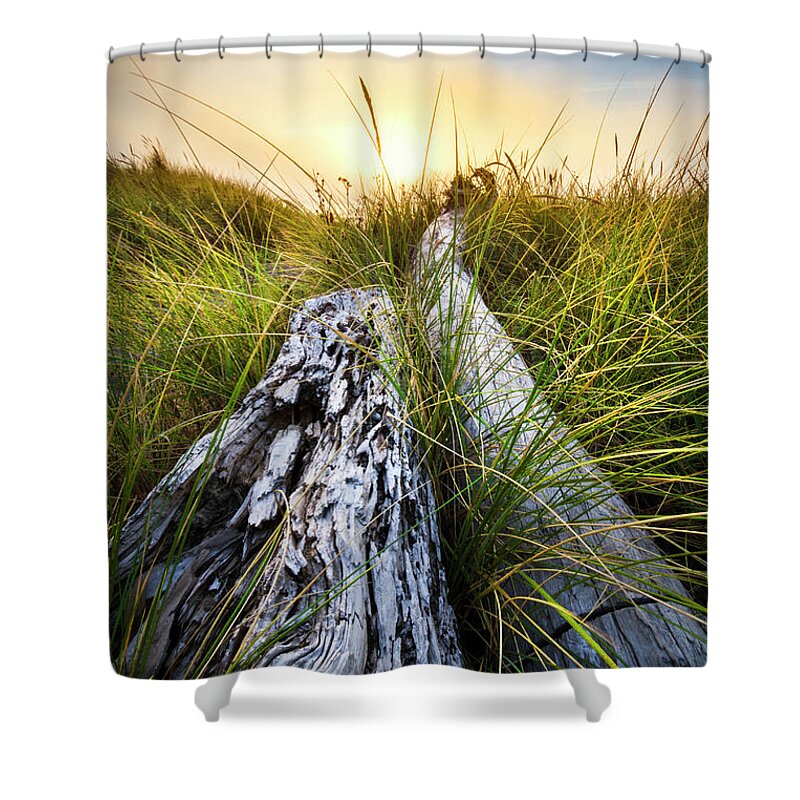 Clouds Shower Curtain featuring the photograph Ocean Driftwood by Debra and Dave Vanderlaan