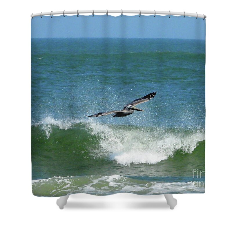 Pelicans Shower Curtain featuring the photograph Ocean Flyer by Scott Cameron
