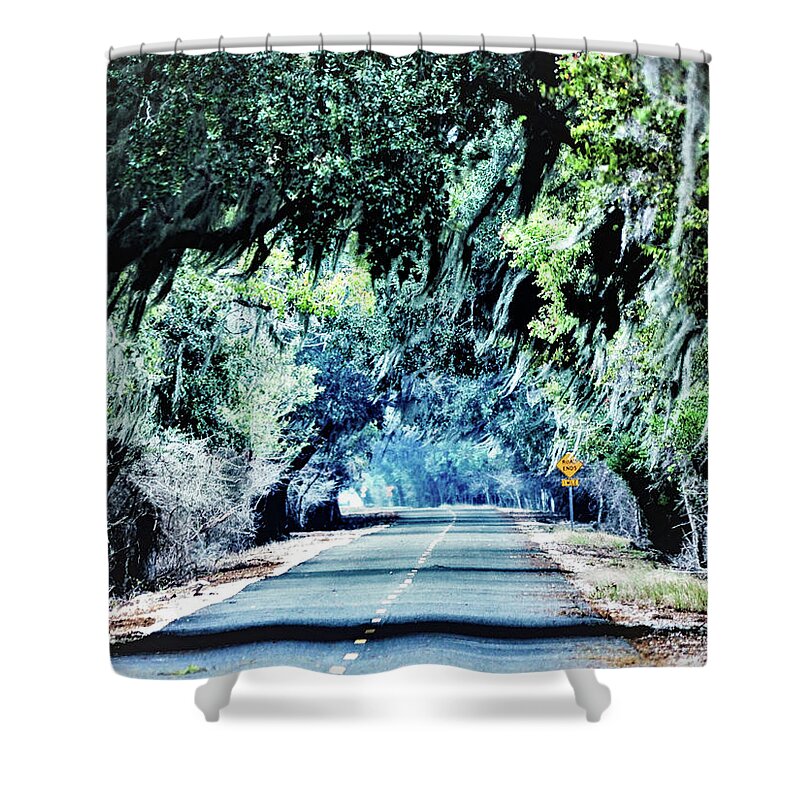 Trees Shower Curtain featuring the photograph Old HWY 90 by Jerry Connally