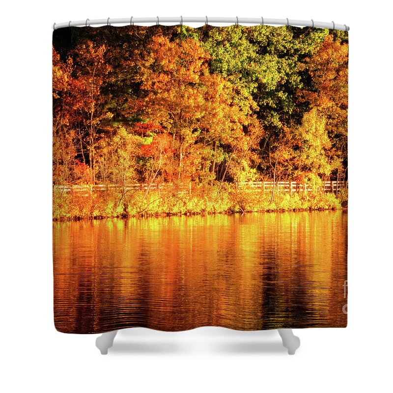 Bruce Freeman Rail Trail Shower Curtain featuring the photograph On Golden Pond by Anita Pollak