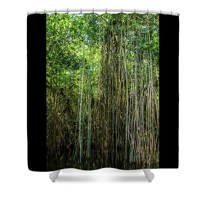 Jamaica Shower Curtain featuring the photograph On the river in Jamaica by Jana Rosenkranz