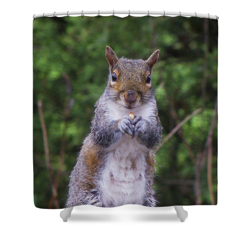 Phil Welsher Shower Curtain featuring the photograph One Kernel at a Time by Phil Welsher