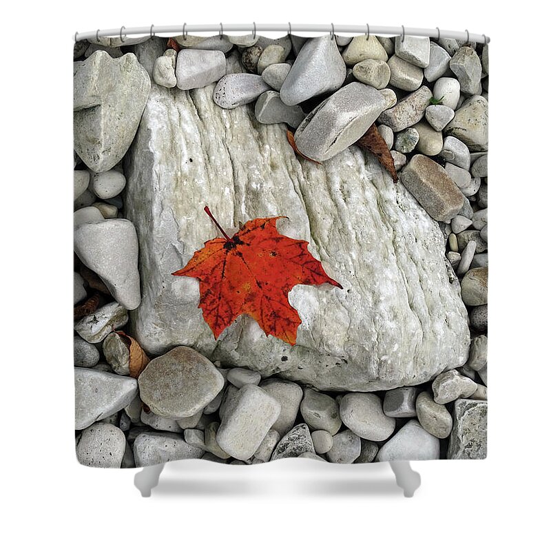 Fall Shower Curtain featuring the photograph One Leaf Many Rocks by David T Wilkinson