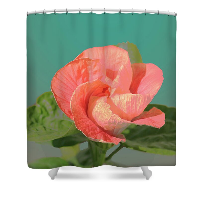 Flower Shower Curtain featuring the digital art Opening by Steve Karol