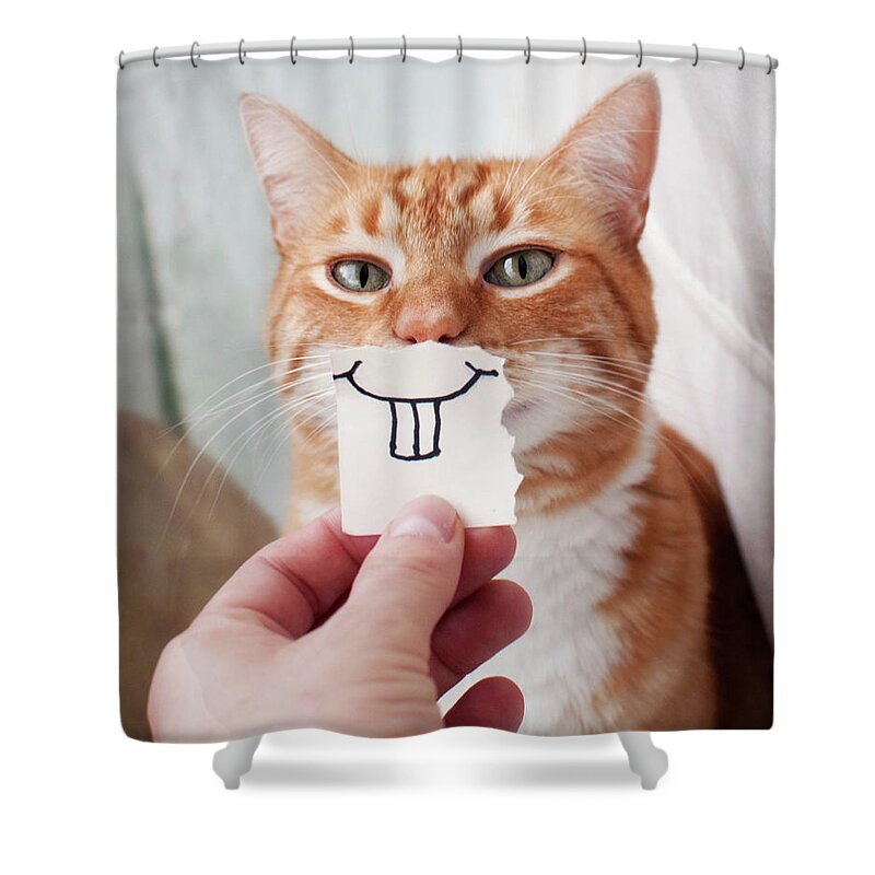 Pets Shower Curtain featuring the photograph Orange Cat Face by Jtsiemer