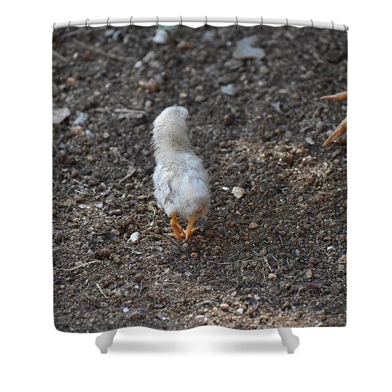 Baby Chick Shower Curtain featuring the digital art Orange Feet by Cassidy Marshall
