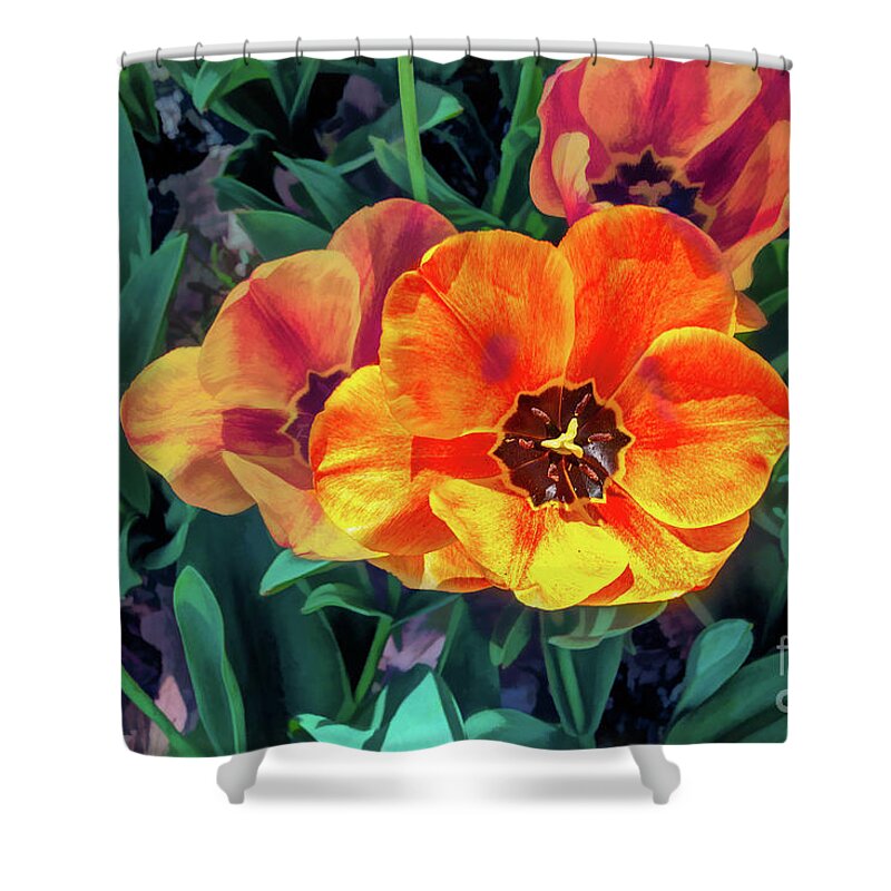 Art Shower Curtain featuring the photograph Orange Poppies by Roslyn Wilkins