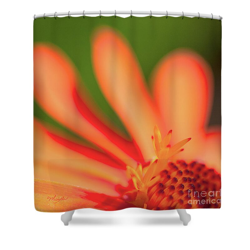 Orange Sunshine Shower Curtain featuring the photograph Orange Sunshine by Michelle Constantine