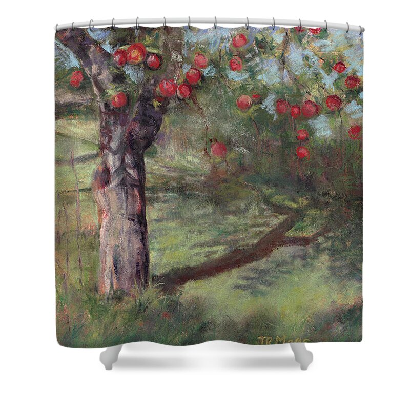 Red Apples On An Old Orchard Apple Tree Shower Curtain featuring the painting Orchard Apples by Julie Maas