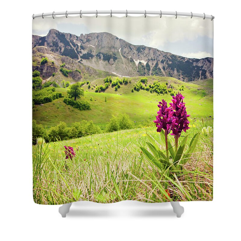 Scenics Shower Curtain featuring the photograph Orchid Against Rolling Hills And by Vpopovic