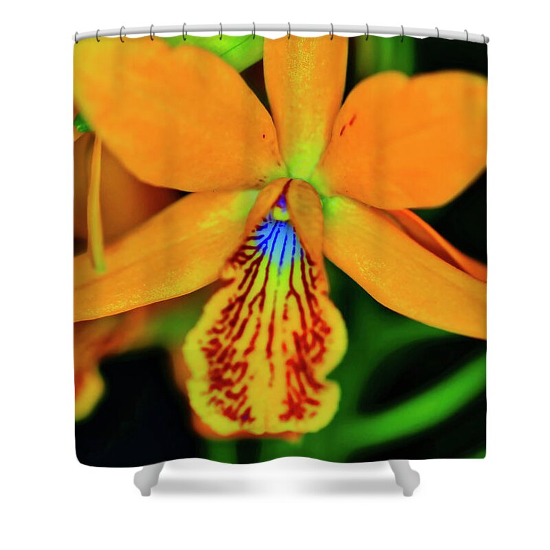 Orchid Shower Curtain featuring the photograph Orchid Study Sixteen by Meta Gatschenberger