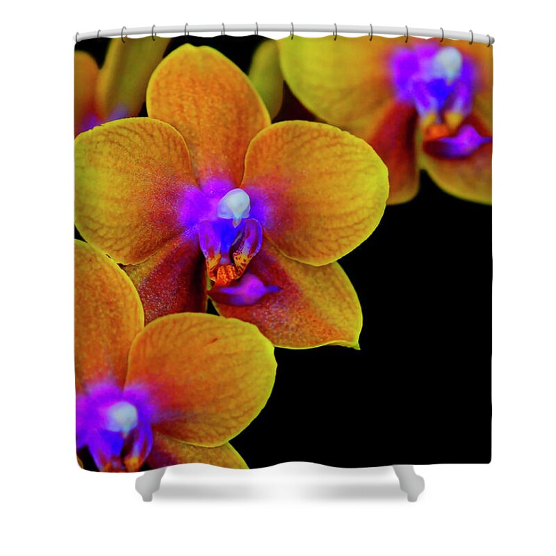 Orchid Shower Curtain featuring the photograph Orchid Study Ten by Meta Gatschenberger