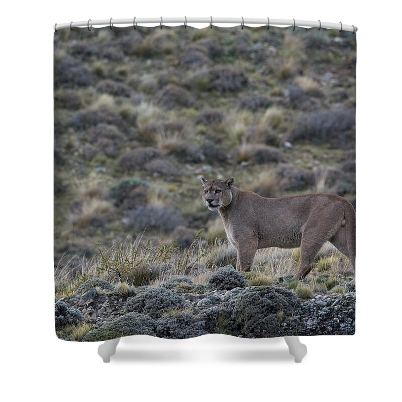 Chile Shower Curtain featuring the photograph Oscuro by Patrick Nowotny