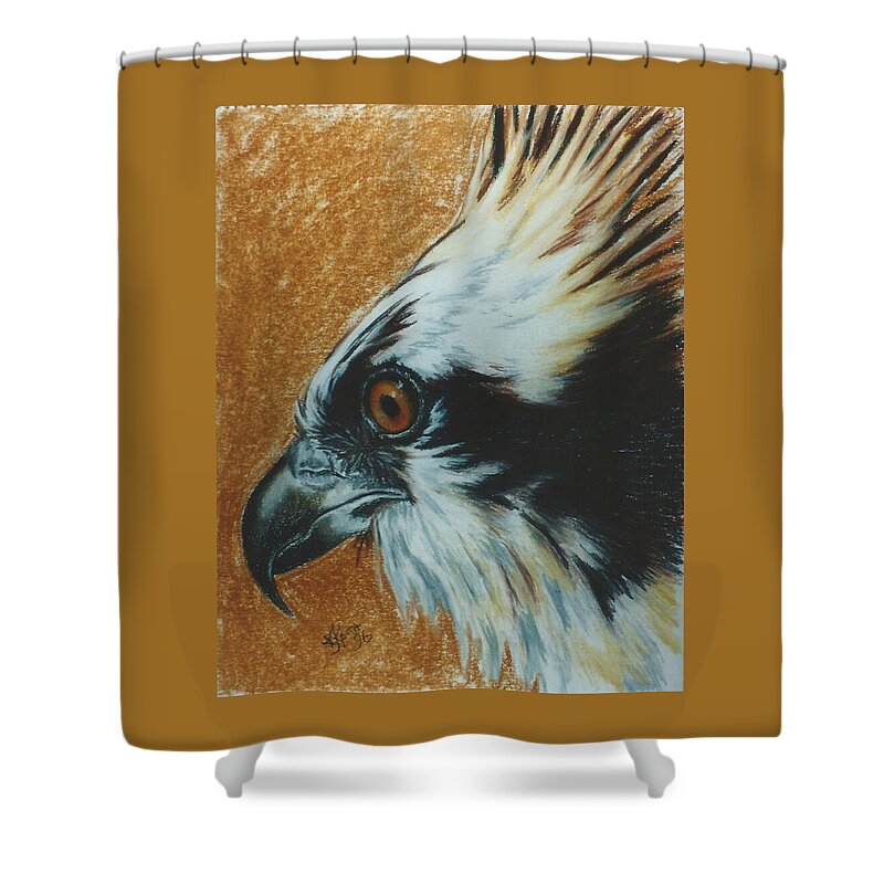 Bird Of Prey Shower Curtain featuring the pastel Fish Hawk by Barbara Keith