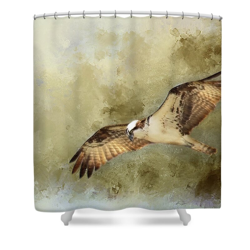 Osprey Shower Curtain featuring the photograph Osprey in Flight by Rebecca Cozart
