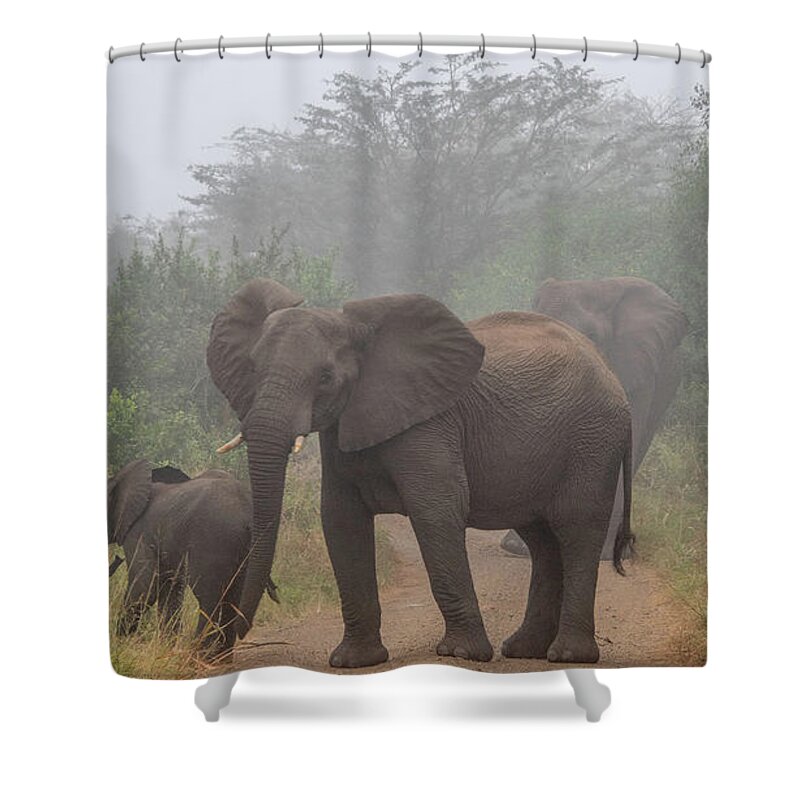 Hluhluwe-imfolozi Park Shower Curtain featuring the photograph Out of the Fog in Hluhluwe by Marcy Wielfaert