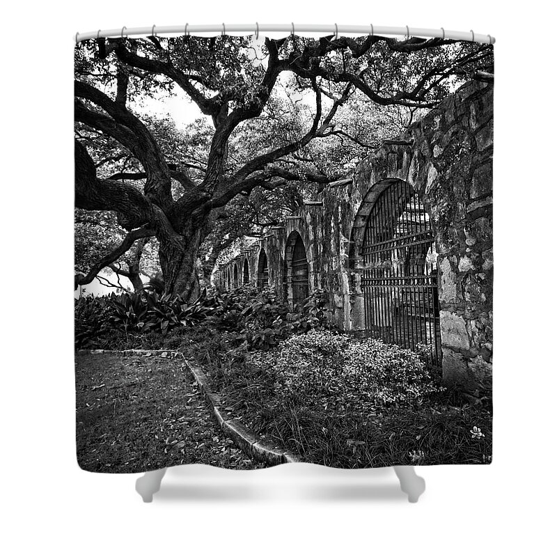 Tree Shower Curtain featuring the photograph Outside the Alamo by George Taylor