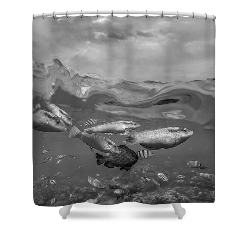 Disk1215 Shower Curtain featuring the photograph Over Under Fish And Sky by Tim Fitzharris