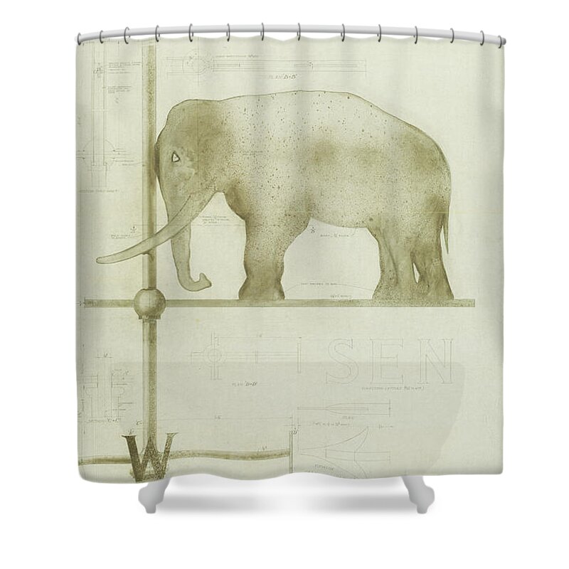 Elephant Shower Curtain featuring the drawing Pachyderm House, Philadelphia Zoo, detail of weather vane by Paul Philippe Cret