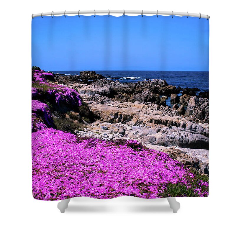  Shower Curtain featuring the photograph Pacific Grove by Dr Janine Williams