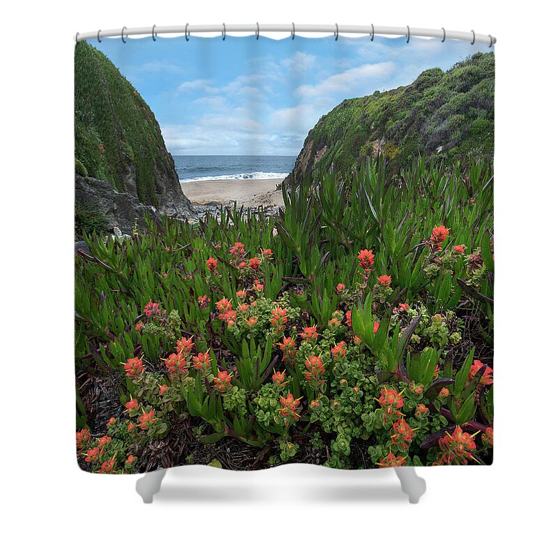 00571627 Shower Curtain featuring the photograph Paintbrush And Ice Plant, Garrapata State Beach, Big Sur, California by Tim Fitzharris