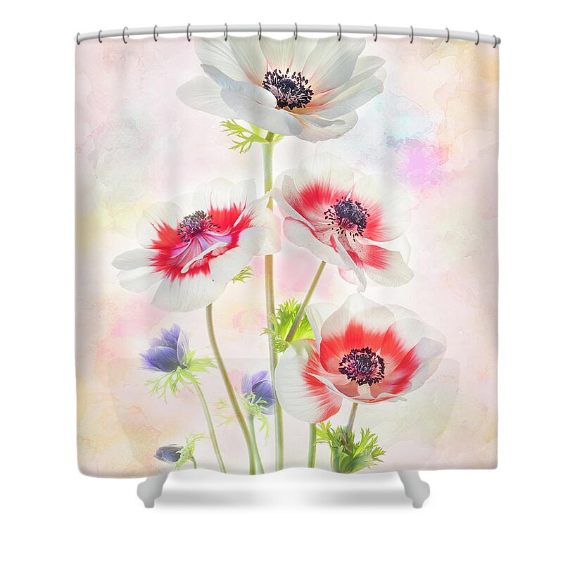 Anemone Shower Curtain featuring the photograph Painterly Anemone by Usha Peddamatham