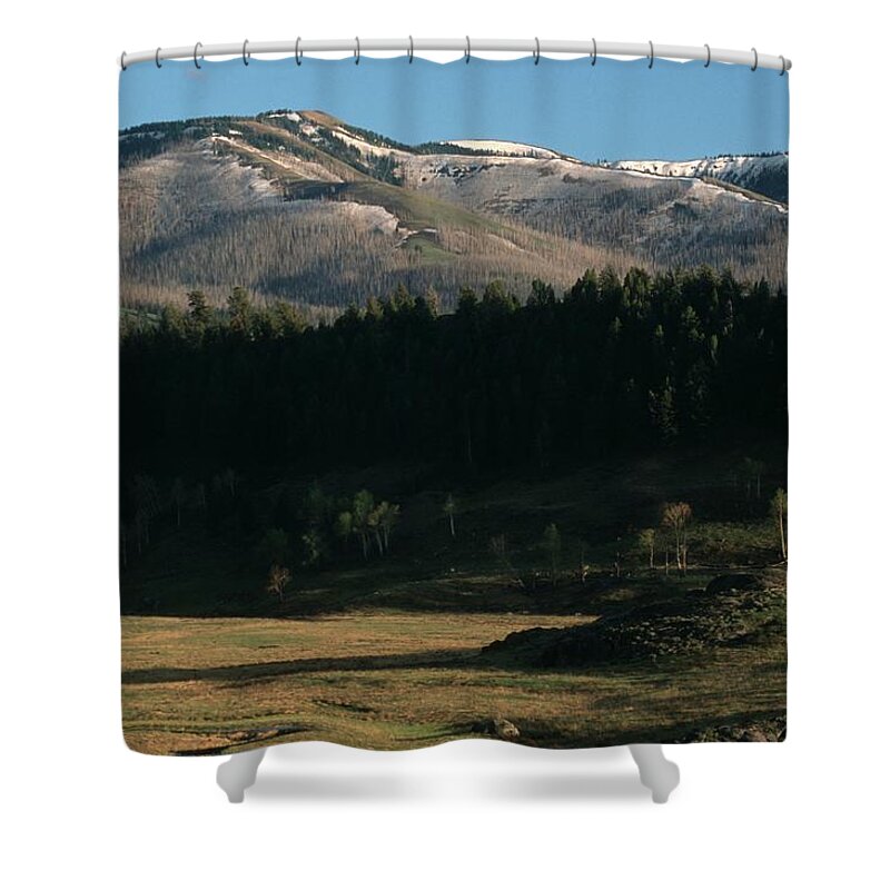 Scenics Shower Curtain featuring the photograph Pair Of Bison Bison Bison Grazing In by Robert C Nunnington
