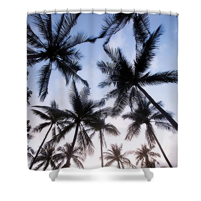 Tropical Tree Shower Curtain featuring the photograph Palm Tree Silhouettes by Nadyaphoto
