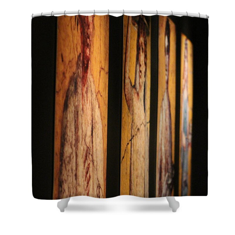 Gold Shower Curtain featuring the photograph Panels of Art at Pompeii Exhibit Reagan Library by Colleen Cornelius