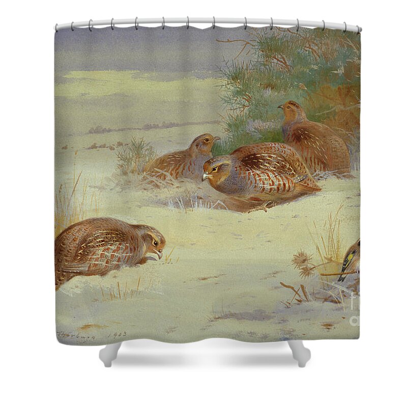 Finch Shower Curtain featuring the painting Partridge And A Goldfinch In A Winter Landscape Watercolor by Archibald Thorburn