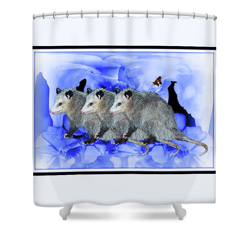 Possums Shower Curtain featuring the digital art Party Of Possums by Constance Lowery