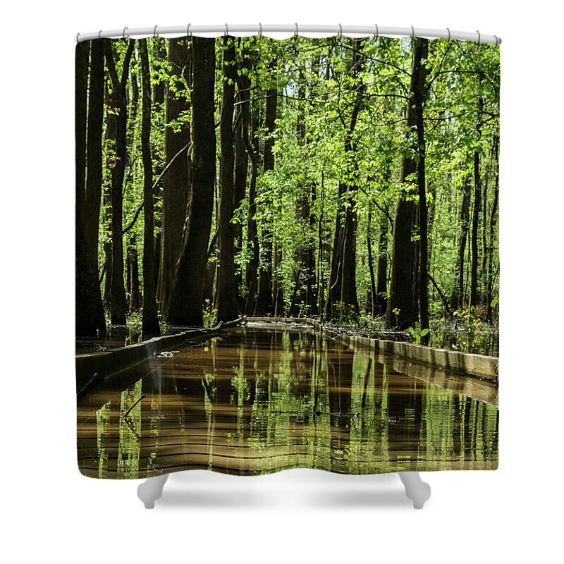 Path Shower Curtain featuring the photograph Path in Congaree by Joe Kopp