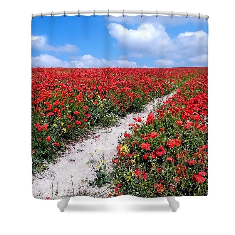 Poppies Shower Curtain featuring the photograph Path through the Poppies by Vanessa Thomas