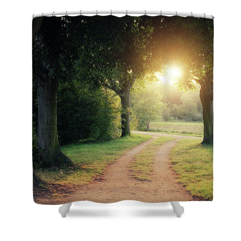 Grass Shower Curtain featuring the photograph Path To Light by Philipp Klinger