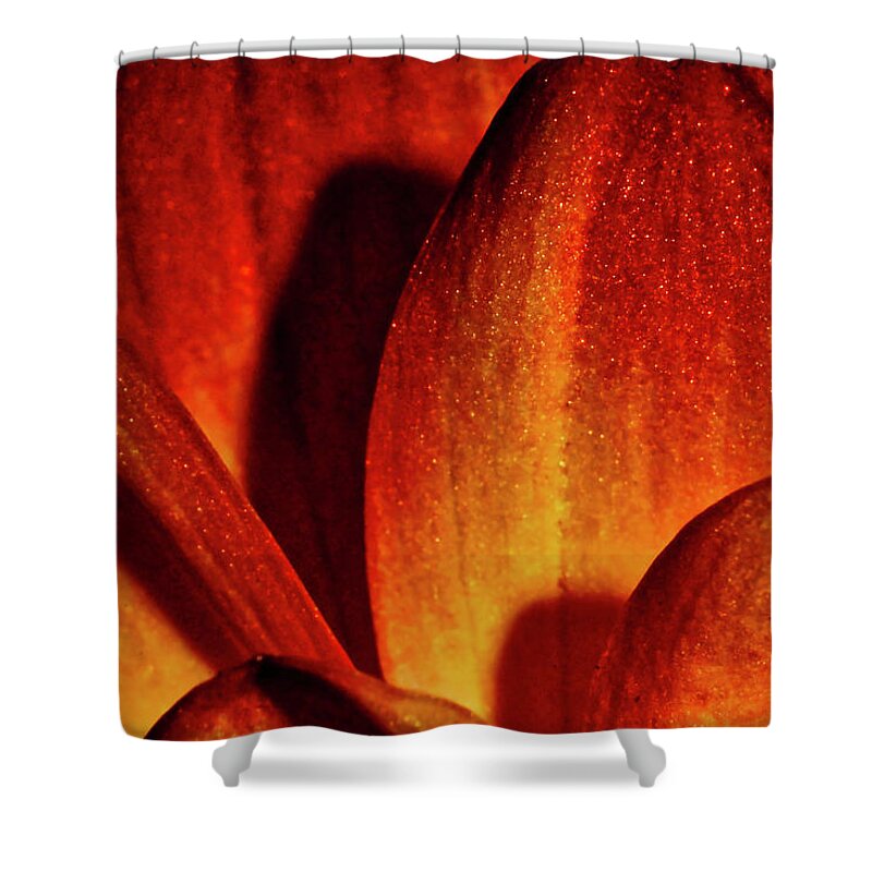 Macro Photography Shower Curtain featuring the photograph Peach Petals by Meta Gatschenberger