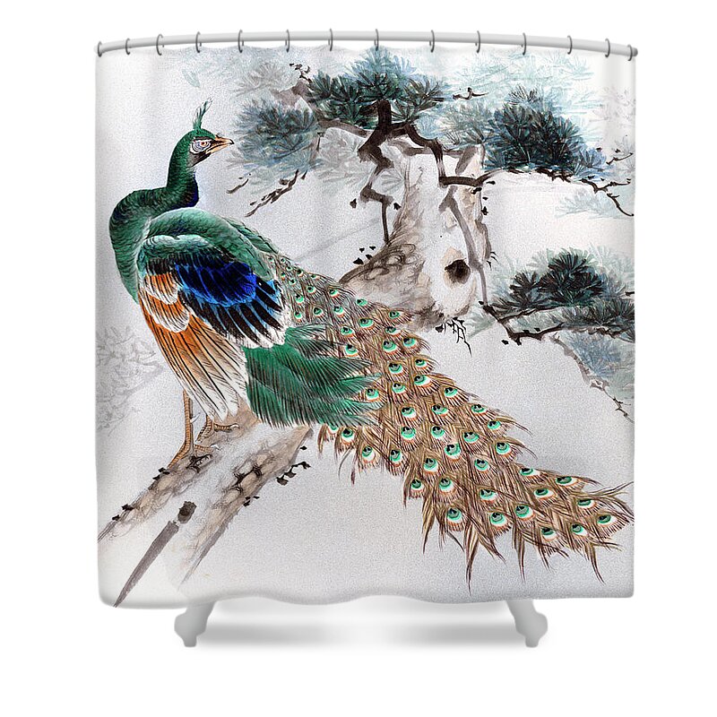 Japan Shower Curtain featuring the painting Peacock by Shisen